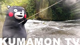 【Kumamon TV】 Fishing challenge Kumamon 🎣🐡