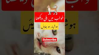 خواب میں بلی دیکھنا🐈 #khwabkitabeer #khwab #shorts #shorts #cat #khwab #khawabketabeer