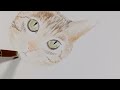 tole painting cat drawn with a flat brush acrylic painting