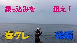 真鶴半島地磯釣り 春の乗っ込みメジナ釣り 後編 mancing ikan mejina besar di jepang