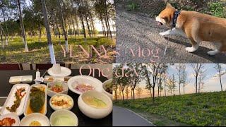 YENNY CAM EP5. One day vlog