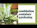 Using Indoor Plants in Outdoor Containers