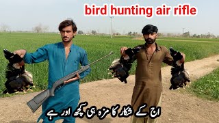 air gun hunting bird pakistan / bird hunting with air rifle / pellet gun hunting birds very munda