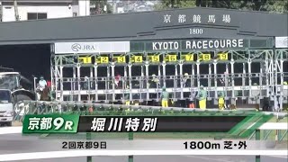 堀川特別［2023.10.29 京都第9R/1800m 芝］