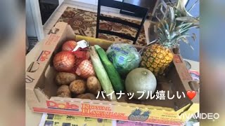 コロナ禍ハワイ・解雇失業【無料野菜配給の日①】