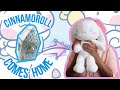 Cinnamoroll Unboxing! | Build-a-Bear