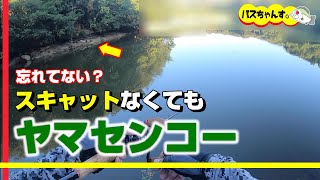 この釣り方に変えたらスグ釣れた。カバースキャットなくてもヤマセンコーがあるじゃないか。【バス釣り】