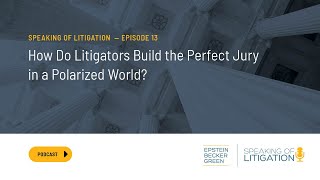 How Do Litigators Build the Perfect Jury in a Polarized World? - Speaking of Litigation Ep. 13