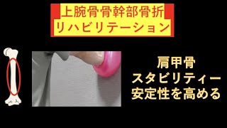 上腕骨骨幹部骨折のリハビリテーション-肩甲骨スタビリティー（安定性）を高めて腕を上げやすくする！-