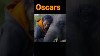 Oscars 2023 to 'The Elephant Whisperers'| #short #DhamakReview