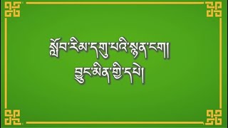 བྱུང་མིན་གྱི་དཔེ།