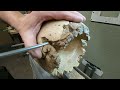 woodturning beneath the bark