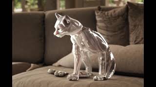 Transparent Cat Illusion — Hyper-Realistic Glass Animal