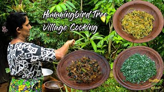 Healthy Village Food❤️ | ගමේ රසට කතුරුමුරුංගා | Hummingbird Tree Recipes | Easy To Make 03 Recipes