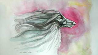 AFGHAN HOUND ART - Lynne Watson.