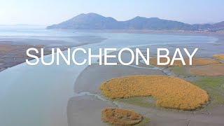 Suncheon Bay, South Korea - Drone Footage - 순천만