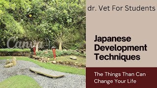 6 Japanese Techniques for Better Development #drvetforstudents