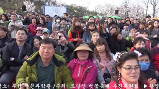 도당산벗꽃축제 부천제21회 부천3대 봄꽃축제 벗꽃,진달래꽃,복숭아꽃