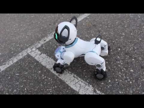 Wowwee Chip Robot Dog Blogger Review Wowwee Chip Robot Dog Blogger Review
