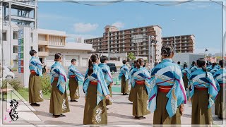 【公式】おどりんちゅ2022碧嵐 よさこい鳴子踊り特別演舞 2日目　秦