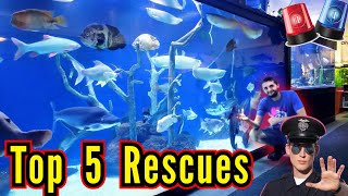 Jaw-Dropping Monster Fish 🚨 Top 5 Biggest Rescues on YouTube❗️