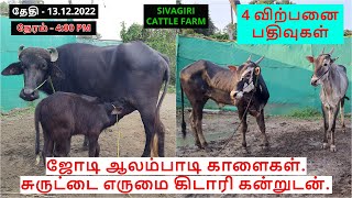 4-விற்பனை பதிவுகள்.ஜோடி ஆலம்பாடி காளைகள்.சுருட்டை எருமை கிடாரி கன்றுடன்.