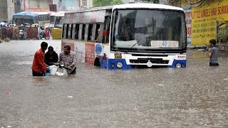 Andhra Pradesh face flood like situation cause of heavy rainfall | Oneindia News