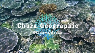 [4K] Beautiful Coral Reef Okinawa #72 Insta360 One R 1inch 沖縄 本島 サンゴ シュノーケリング