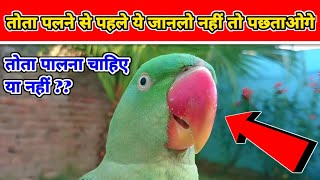 तोता पलने से पहले ये जानलो नहीं तो पछताओगे | तोता पालना चाहिए या नहीं ?? | hustel parrot