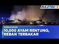 KEBAKARAN | Reban Terbakar, Lebih 10,000 Ayam Rentung