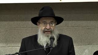 Zichronos Of The Rebbe By Rav Leibel Shapiro #29