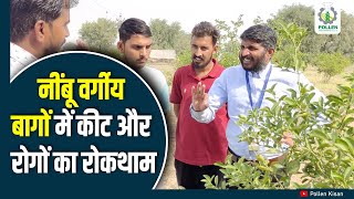 नींबू वर्गीय फलों की खेती | Citrus Crop | Pollen Kisan