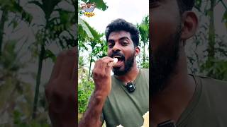 തെങ്ങിൻ ചങ്ക് എടുത്ത് അടിച്ചു കേറിവാ..#food #youtube #shorts