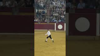 Rondada de Diego Almarza En el Campeonato Goyesco en Zaragoza 2024 #recortador #toros #rondada