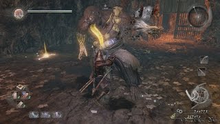 【PS4 Pro】仁王/NIOH - #43 近畿編 サブミッション・堕落せし陰陽師（No Damage）