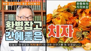 [식의보감] 치자(梔子)의 다양한 효능들!!!. 열감, 홧병, 불면증, 위통, 간기능개선, 안구충혈, 주사비, 관절삔곳... 또 뭐가 있지?