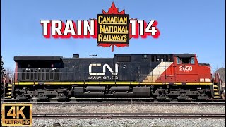 CN Railway: Intermodal Train 114 Stack Freight Transportation #train #railway #video #subscribe