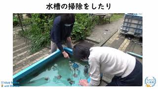 先生方の水族館活動【長高水族館】