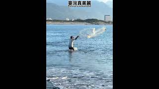 八卦網捕魚#老手出運了#花蓮溪出海口#洄瀾灣#甘仔魚#青鱗仔魚#頜針魚#beach #outdoors #