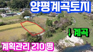 (양평토지급매매물2억대) 조현초학군 도로 접근성 좋은 위치ㅇ 바로 앞 맑은 계곡 흐르는 토지매매입니다. 계획관리지역 알땅210평 추천드려요  \u0026 용문숲부동산3569