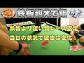 2024.0504・複勝企画【鉄板超えて鋼】 36 shoooot