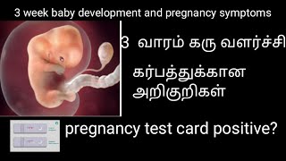 3 வாரம் கரு வளர்ச்சி /3 week baby development and pregnancy symptoms