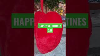 happy valentines day #short #shortvideo #youtubeshorts #shorts  #trending #valentinesday #love