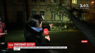 Вночі у Києві величезна акація впала на дорогу та порвала дроти