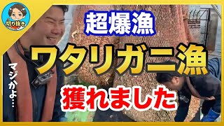 【漁師まさと】ワタリガニ漁だったはずが、アレが大漁に！10000匹獲れた物はなんと！【釣り 瀬戸内 漁師  切り抜き fish fishing fisherman SETOUCHI 船 給料】