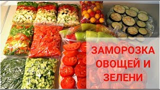 ЗАМОРОЗКА ОВОЩЕЙ и ЗЕЛЕНИ НА ВСЮ ЗИМУ