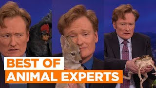 Best Of Animal Experts: Black Palm Cockatoo & Brown Bear Cub | CONAN on TBS