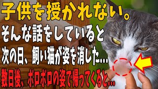 【猫の不思議な話】なかなか子どもを授かれない私たち夫婦。飼い猫はその悩みを聞いていたようで突然いなくなってしまった…→するとある日、ボロボロの姿で突然帰って来ると…【朗読】【猫】【感動】