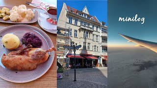 독일에서의 마지막 하루🇩🇪 | Köpenick 나들이, 카타르항공 타고 귀국하기✈