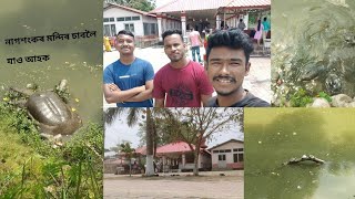 NAGSANKAR TAMPLE sau ahok//নাগশংকৰ মন্দিৰ চাওঁ আহক // #assam #jamugurihat #tezpur #youtube